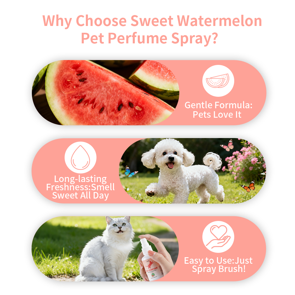 Watermelon Scent Pet Perfume C - Home Fragrance Aesop incelemesi ve fiyatı