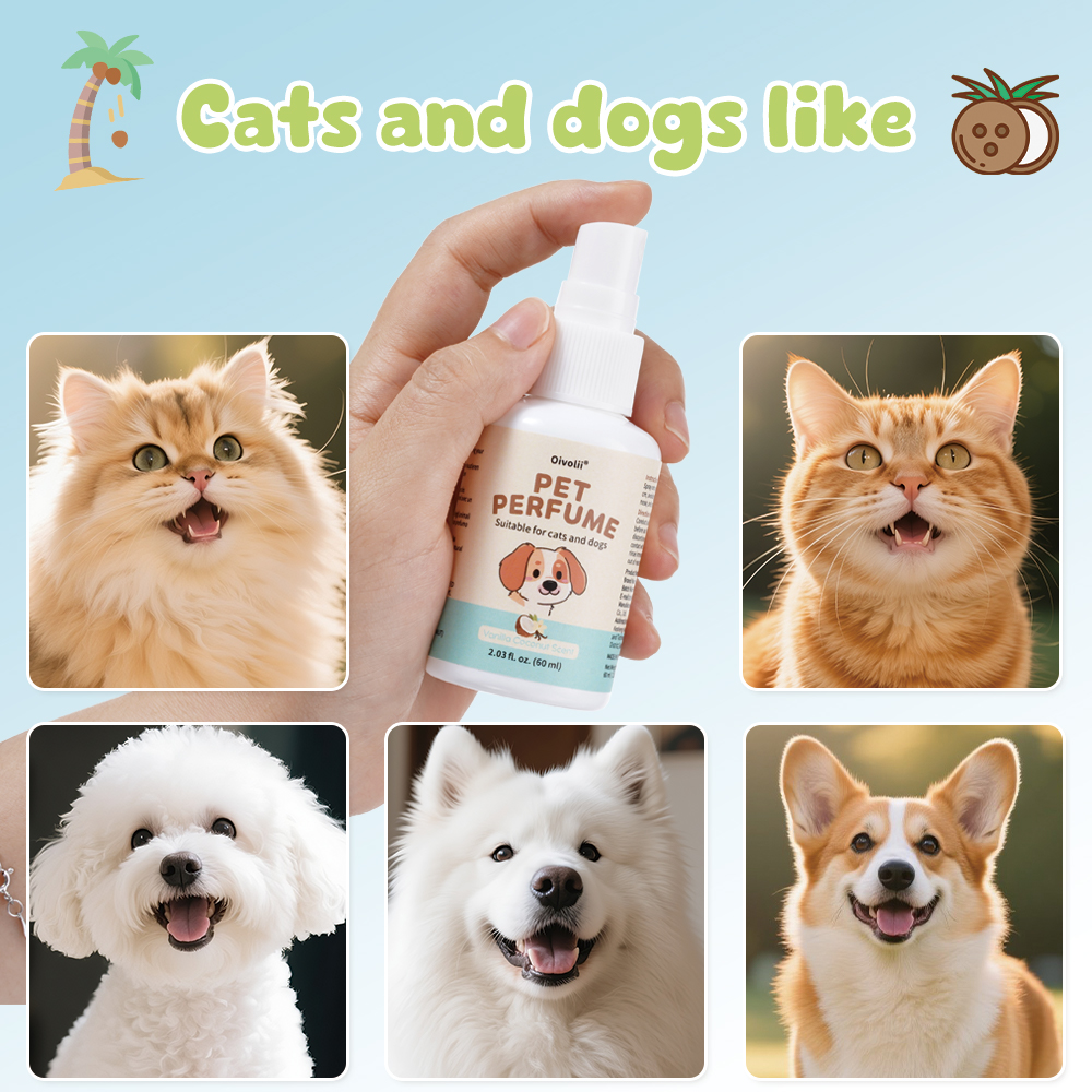 Vanilla Coconut Scent Pet Perf - Home Fragrance Aesop incelemesi ve fiyatı
