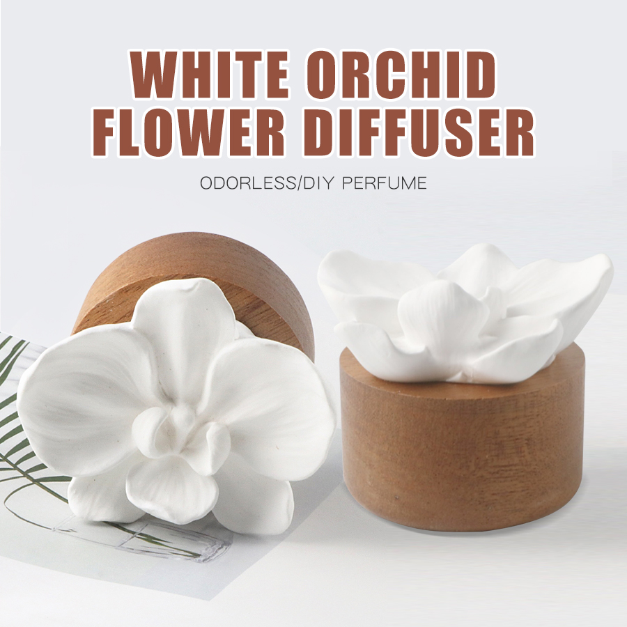 Odorless DIY perfume stone flo - Home Fragrance Aesop incelemesi ve fiyatı
