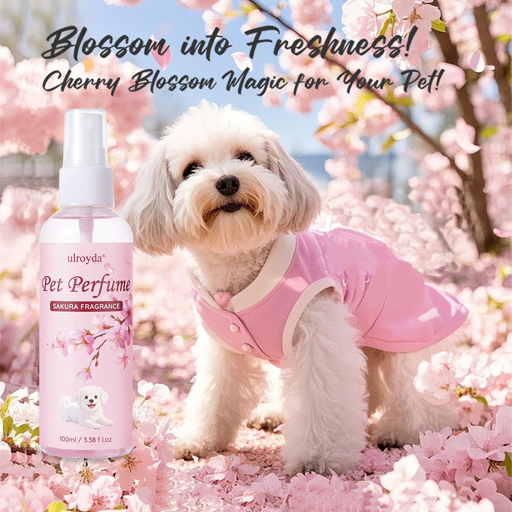 Sakura Pet Perfume Spray Long  - Home Fragrance That Lasts Long incelemesi ve fiyatı